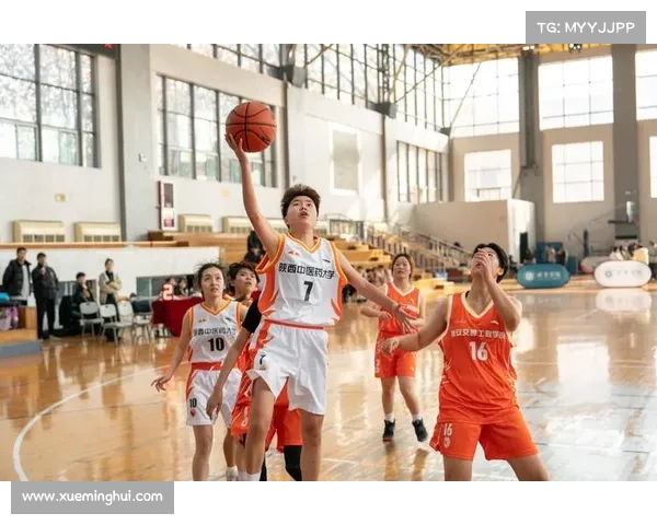 青春篮球热血沸腾CUBA赛事全程观看体验盛宴